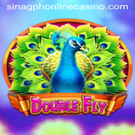 DoubleFly: An Enthralling Journey Through Dimensions